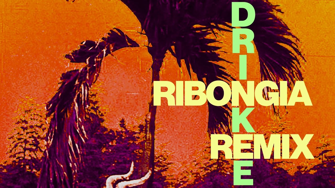 Sofi Tukker — Drinkee (Ribongia Remix) [Cover Art]