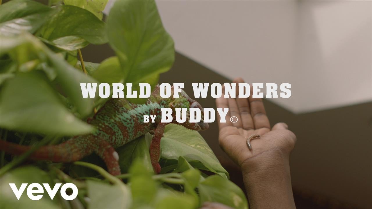 Buddy — World Of Wonders (Official Video)